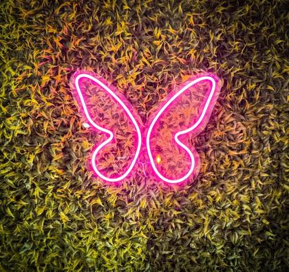 Imagem de Neon Led Borboleta Rosa decoração Quarto Festa