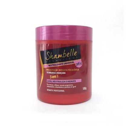 Imagem de Neutralizante Universal 3 em 1 Shambelle Nutri Minas 500g