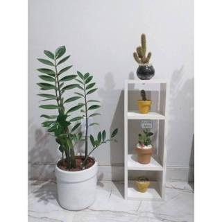 Imagem de Nicho com Divisórias, MDF Branco Suspenso com 50cm - Cozinha, Banheiro, Quarto, Sala, Quarto infantil