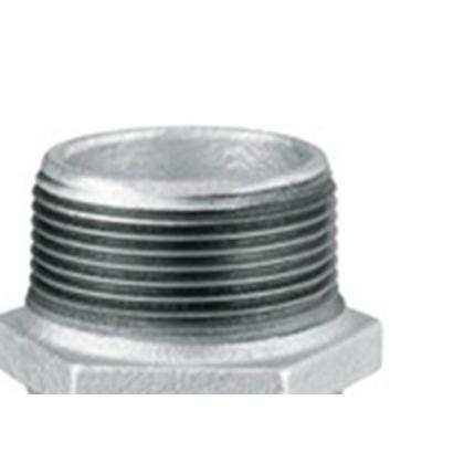 Imagem de Niple Duplo Ferro Galvonizado  Tupy 1.1/4