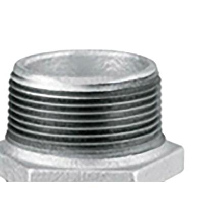 Imagem de Niple Duplo Ferro Galvonizado  Tupy 2