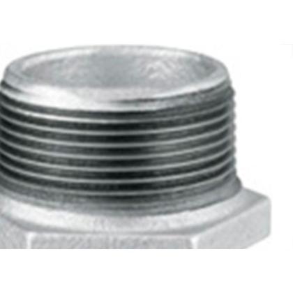 Imagem de Niple Duplo Ferro Galvonizado  Tupy D 3/4