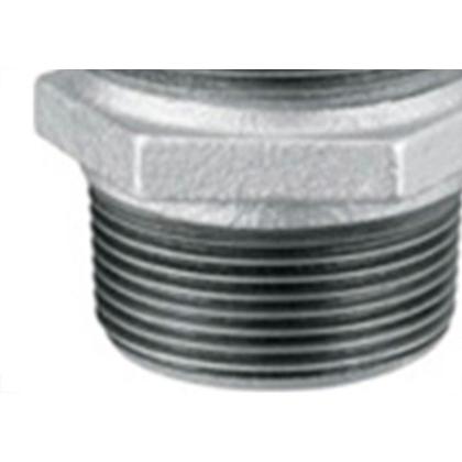 Imagem de Niple Duplo Ferro Galvonizado  Tupy D 3/4