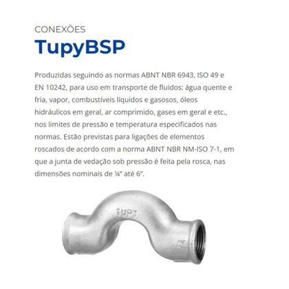 Imagem de Niple Ferro Galvanizado Tupy 2 1/2"
