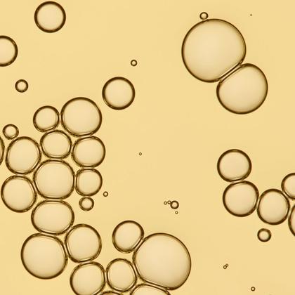 Imagem de No Frizz Vanishing Oil - 50ml