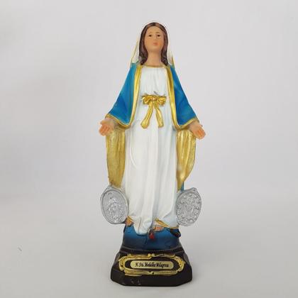 Imagem de Nossa senhora medalha milagrosa em resina