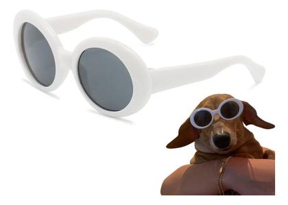 Imagem de Óculos de Sol para Cachorro Gato Pet com Proteção UV400