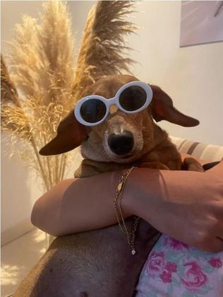 Imagem de Óculos de Sol para Cachorro Gato Pet com Proteção UV400