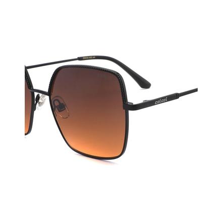 Imagem de Óculos Solar Colcci C0256a02ah Preto Brilho Lente Cinza Degradê cat1 -