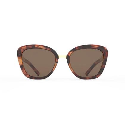 Imagem de Óculos Solar Colcci Ceu C0186f2102 Demi Marrom Brilho Lente Marrom -