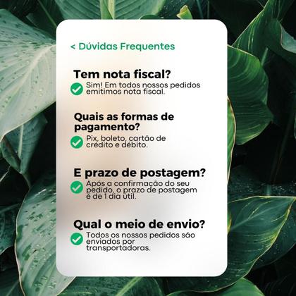 Imagem de Óleo de Alecrim 30ml - E.P.A Naturais