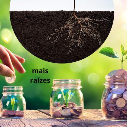 Imagem de Óleo de neem repelente inseticida para plantas nin original 1 litro