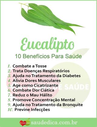 Imagem de Óleo essencial de Eucalyptus - 15ml - 300 gotas - Mais vendido - Refrescante