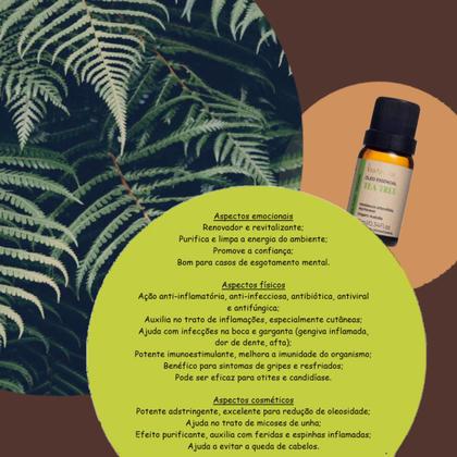 Imagem de Óleo Essencial de Tea Tree Malaleuca Vegano Natural 100% Puro 10ml