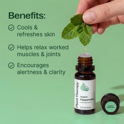 Imagem de Óleo Essencial Orgânico de Hortelã-Pimenta Plant Therapy 30 ml
