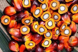 Imagem de Óleos dendê + urucum - dokmos 115ml
