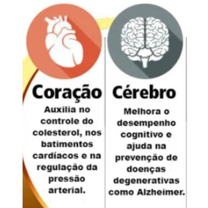 Imagem de Omega 3 Catarinense Legitimo Fish Oil Com 120