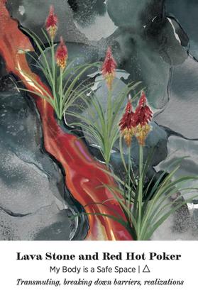 Imagem de Oráculo da Alquimia da Terra: Conecte-se à sabedoria e beleza dos reinos vegetal e cristal Cartas