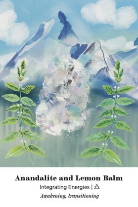 Imagem de Oráculo da Alquimia da Terra: Conecte-se à sabedoria e beleza dos reinos vegetal e cristal Cartas