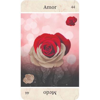 Imagem de Oraculo Dual - Paz (verde)