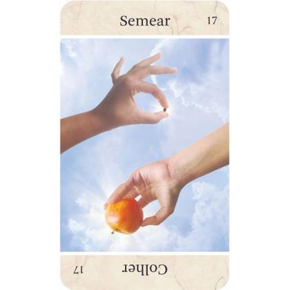 Imagem de Oraculo Dual - Paz (verde)