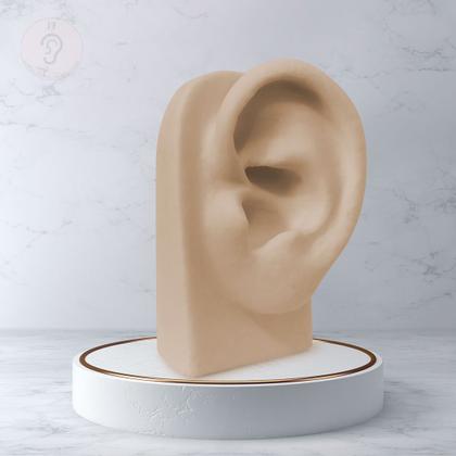 Imagem de Orelha de Silicone Base Vertical Nude