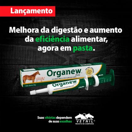 Imagem de Organew Pasta 32g Vetnil Suplemento Probiótico