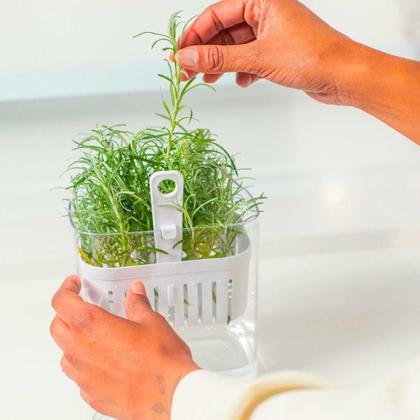 Imagem de Organizador de Temperos 1,5L Clear Fresh OU