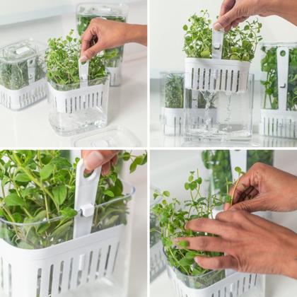 Imagem de Organizador De Temperos E Folhas P/ Geladeira Clear Fresh 1,5 Litros