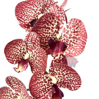 Imagem de Orquidea Artificial Grande Pendente