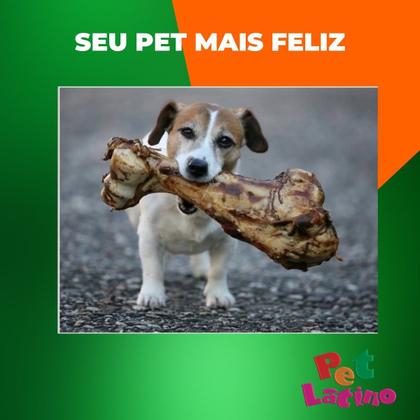 Imagem de Osso Femur Defumado Bovino Canelão Pestisco Para Cães