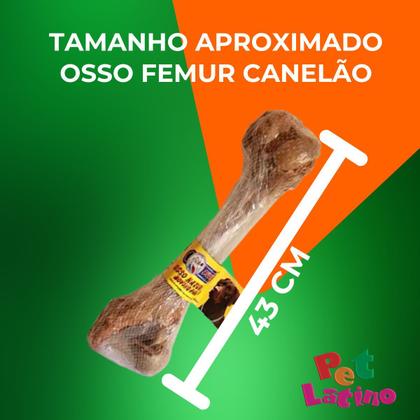 Imagem de Osso Femur Defumado Bovino Canelão Pestisco Para Cães