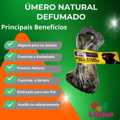Imagem de Osso Úmero Bovino Defumado natural Petisco Para Cães Cachorros