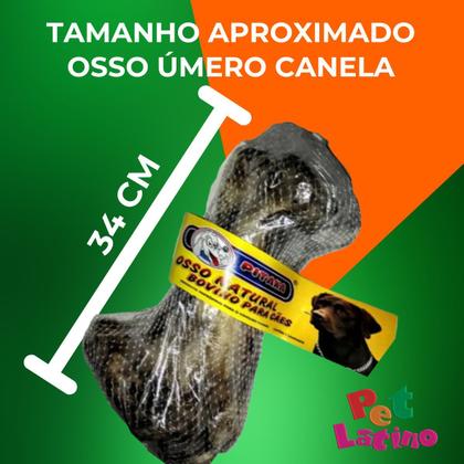 Imagem de Osso Úmero Bovino Defumado natural Petisco Para Cães Cachorros