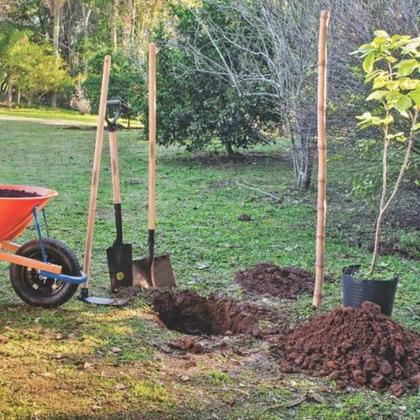 Imagem de Pá Jardineira 71cm Cabo Madeira Tramontina Aço Carbono Pintura Eletrostática Empunhadura Ergonômica