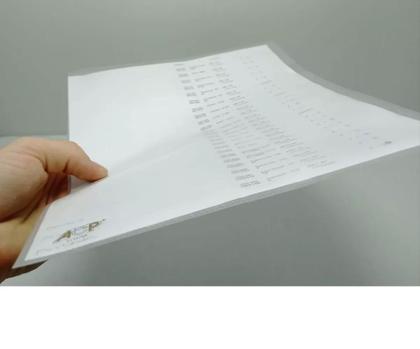 Imagem de Pacote com 10 Pastas em L Transparente A4 Modelo 1134 ACP Ideal para Armazenar e Transportar Trabalhos