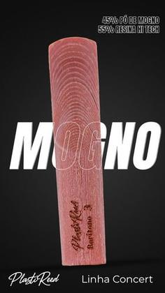 Imagem de Palheta CLARINETE MOGNO Plastireed 2
