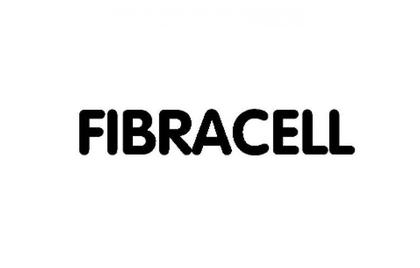 Imagem de Palheta Fibracell Premier Sax Tenor 2,0