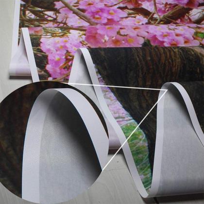 Imagem de Pano de fundo fotográfico CYLYH Christmas 4.5x3m Lareira infantil