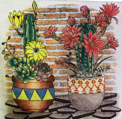 Imagem de Pano de Prato Pé de Galinha Kit com 10 Peças - Estampas Sortidas