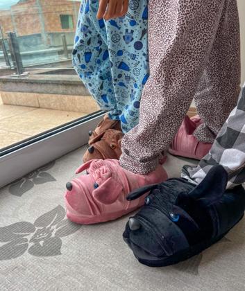 Imagem de Pantufas 3D adulto e infantil cachorros fofinhos personagem 3D