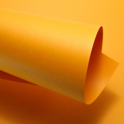 Imagem de Papel Color Plus 180g  Formato A4