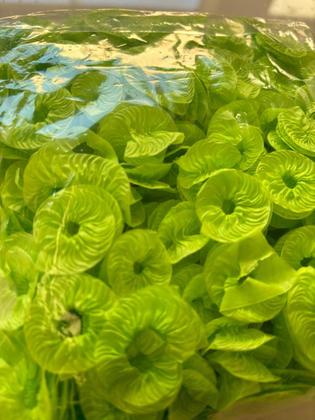 Imagem de papel de bala, rococó varias cores