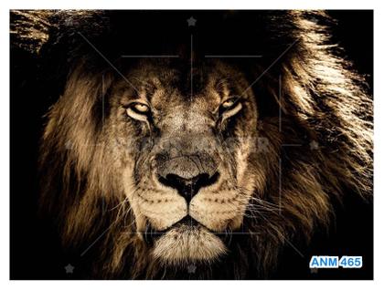 Imagem de Papel De Parede 3D Animais Leão Rosto Encarando 3,5M Anm465