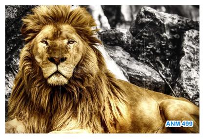 Imagem de Papel De Parede 3D Animais Leão Rosto Encarando 3,5M Anm499