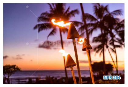 Imagem de Papel De Parede 3D Praia Mar Entardecer Tochas 3,5M Npr264