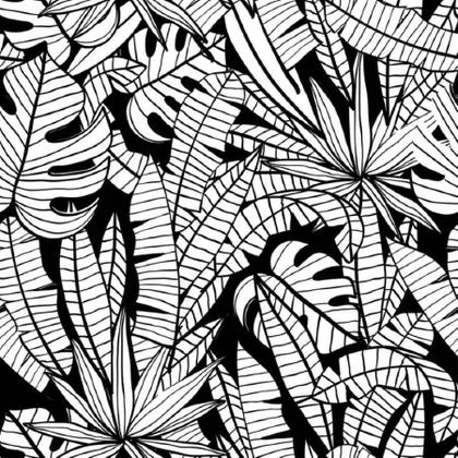 Imagem de Papel de Parede Adesivo Folhas N011138 Rolo 0,58x3M