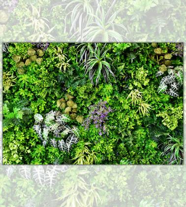 Imagem de Papel de Parede Foto Mural Folhas para Sala Quarto Autocolante 150x250cm