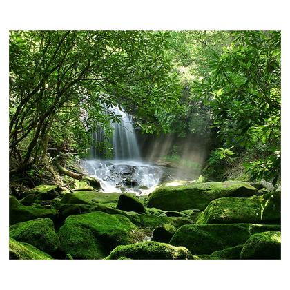 Imagem de Papel de Parede Paisagem Floresta Natureza Sala Adesivo - 006pcm