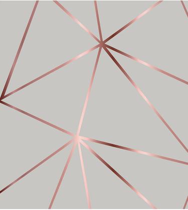 Imagem de Papel De parede Para Quarto E Sala Geométrico Rose Silver